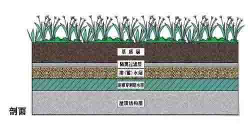 湖南草字頭生態環境建設有限公司,人造草坪假草皮,湖南雨水收集處理工藝