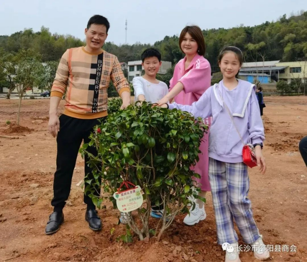 湖南草字頭生態環境建設有限公司,人造草坪假草皮,湖南雨水收集處理工藝